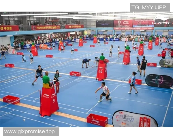 羽毛球比赛现场氛围及观众互动研究 羽毛球比赛现场氛围及观众互动研究